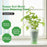 Self Watering Device Automatic Plant Water Irrigation Tool When Away On Vacation Travel - 6