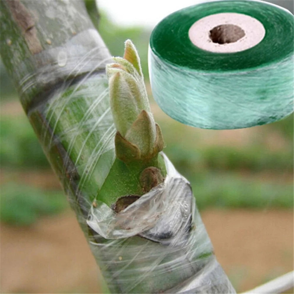 100Mx2CM Grafting Tape PE Self-Adhesive Membrane Strap for Budding Garden Plants - 3