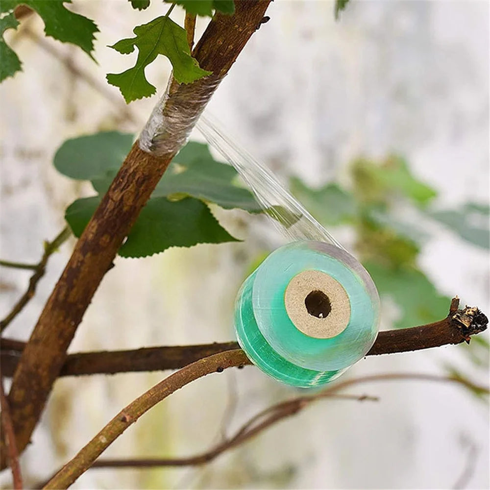100Mx2CM Grafting Tape PE Self-Adhesive Membrane Strap for Budding Garden Plants - 4