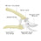 Garden Pruning Shears Scissors Stainless Steel Blade Handheld Pruners - Curved Blade - 2