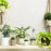 ABS+PVC 350ML Irrigation Drip Bag Automatic Plants Self Watering Tool Device - 4
