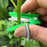 100Pcs Farm Orchard Thumb Knife Garden Pruner Vegetable Fruit Picking Cutter - Green - 5