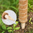 4Pcs 40cm Vine Climbing Coconut Palm Rod Plant Climbing Rod Plant Support Stick with Tools - 2