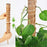 4Pcs 40cm Vine Climbing Coconut Palm Rod Plant Climbing Rod Plant Support Stick with Tools - 3
