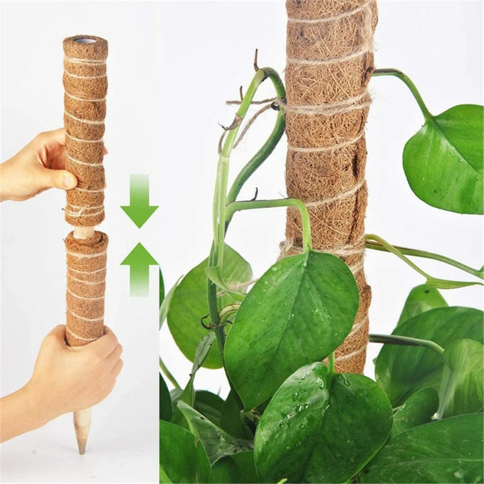 4Pcs 50cm Garden Plant Support Stick Plant Climbing Rod Vine Climbing Coconut Palm Rod with Tools - 3
