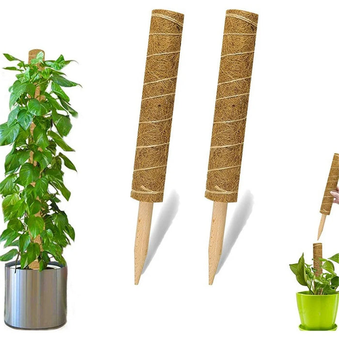 4Pcs 50cm Garden Plant Support Stick Plant Climbing Rod Vine Climbing Coconut Palm Rod with Tools - 5