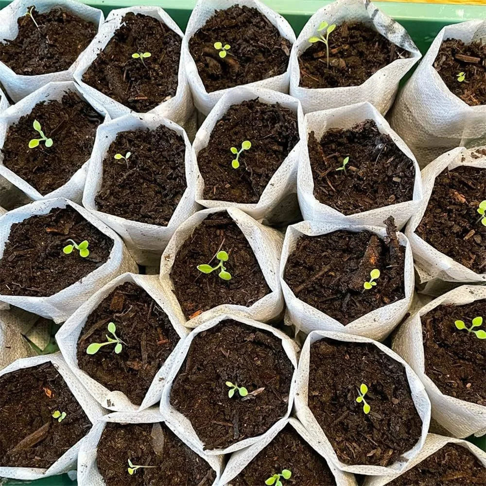 Non-Woven Fabric Plant Seedling Bags, 10x12cm / Top: 6x9cm - 100Pcs Plant Grow Bags - 6
