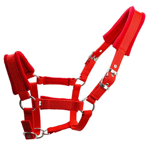 Padded Horse Halter 25mm Wide PP Webbing Metal Buckle Soft Padded Horses Halter - Red / XS - 1