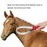 Stainless Steel Horse Sweat Scraper Itching Relief Grooming Shedding Tool with Teeth - Red - 2