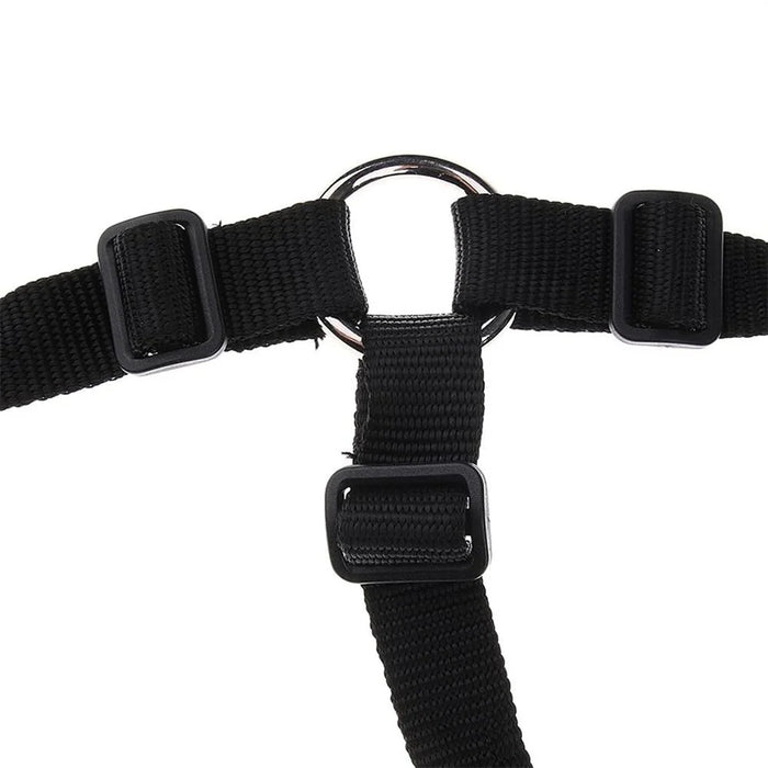 Size S Horse Muzzle Thick Webbing Breathable Equine Grazing Muzzle Padded Anti-Bite Mask - Black - 5