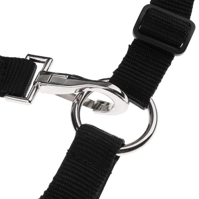 Size S Horse Muzzle Thick Webbing Breathable Equine Grazing Muzzle Padded Anti-Bite Mask - Black - 6