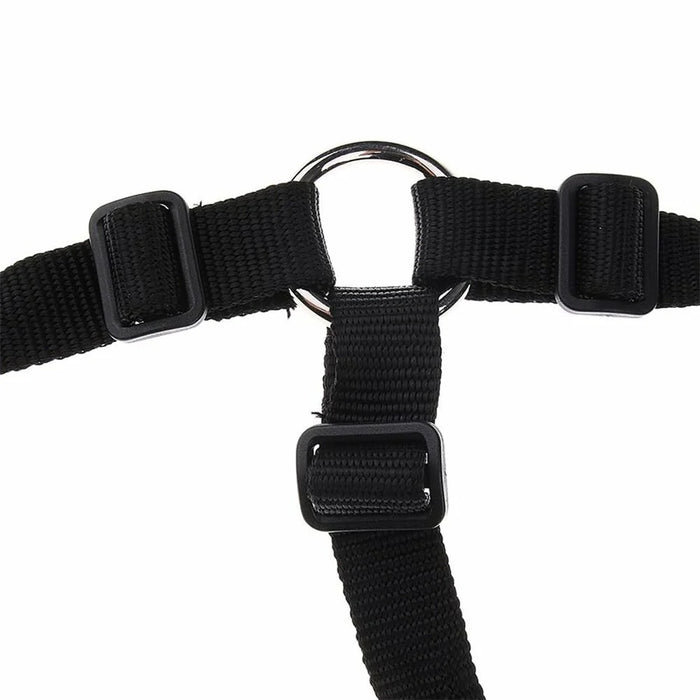 Size L Horse Muzzle Thick Webbing Breathable Equine Grazing Muzzle Padded Anti-Bite Mask - Black - 4
