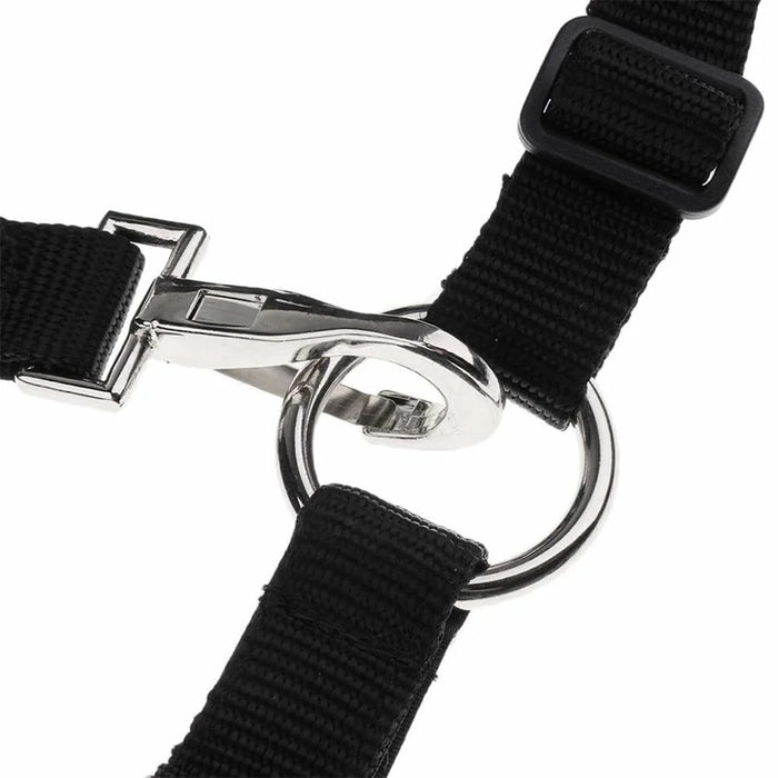 Size L Horse Muzzle Thick Webbing Breathable Equine Grazing Muzzle Padded Anti-Bite Mask - Black - 5
