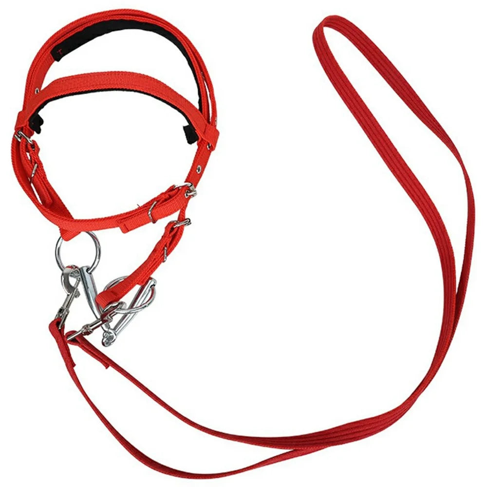 Horse Riding Halter Rope Equestrian Headgear 1.3m Nylon Bridle Rein for Precise Control - 1