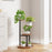 3 Tier Plant Stand for Living Room Balcony Decorative Succulents Flowers Display Shelf - 4