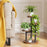 3 Tier Plant Stand for Living Room Balcony Decorative Succulents Flowers Display Shelf - 6