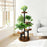 Four-Tier Plant Stand Wood+Metal Living Room Balcony Succulent Flower Pot Holder Display Rack - 6