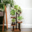 Five-Tier Plant Stand Wood+Metal Living Room Balcony Succulent Flower Pot Holder Display Rack - 5