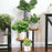 Five-Tier Plant Stand Wood+Metal Living Room Balcony Succulent Flower Pot Holder Display Rack - 7