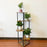 Indoor Iron Frame Wooden Flower Pot Rack Living Room Balcony Flower Plant Holder Floor Stand - 5