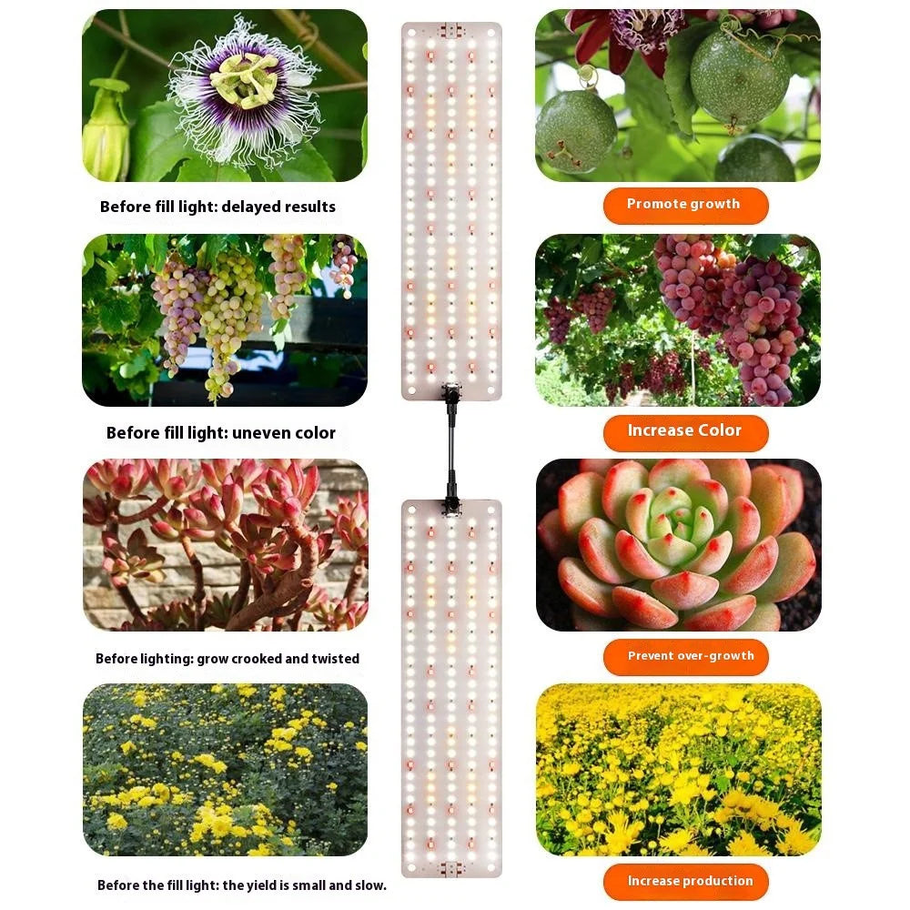 12V 3-Panel Plant Growing Light Plant Shelf Seedling Growth Fill Light, EU Plug - Warm Light - 5