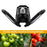 144 LEDs Greenhouse Hydroponic System SMD 2835 E27 Plant Growth Lamp Indoor Plant Light - 2