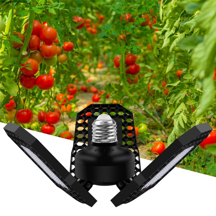 144 LEDs Greenhouse Hydroponic System SMD 2835 E27 Plant Growth Lamp Indoor Plant Light - 4