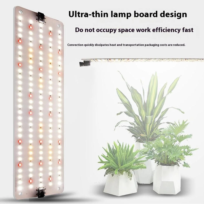 12V 2-Panel Plant Growing Light Potted Plants Shelf Seedling Growth Fill Light, EU Plug - Cold Light - 4