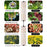12V 2-Panel Plant Growing Light Potted Plants Shelf Seedling Growth Fill Light, EU Plug - Cold Light - 5