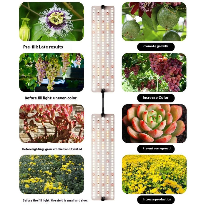 12V 2-Panel Plant Growing Light Potted Plants Shelf Seedling Growth Fill Light, EU Plug - Cold Light - 5