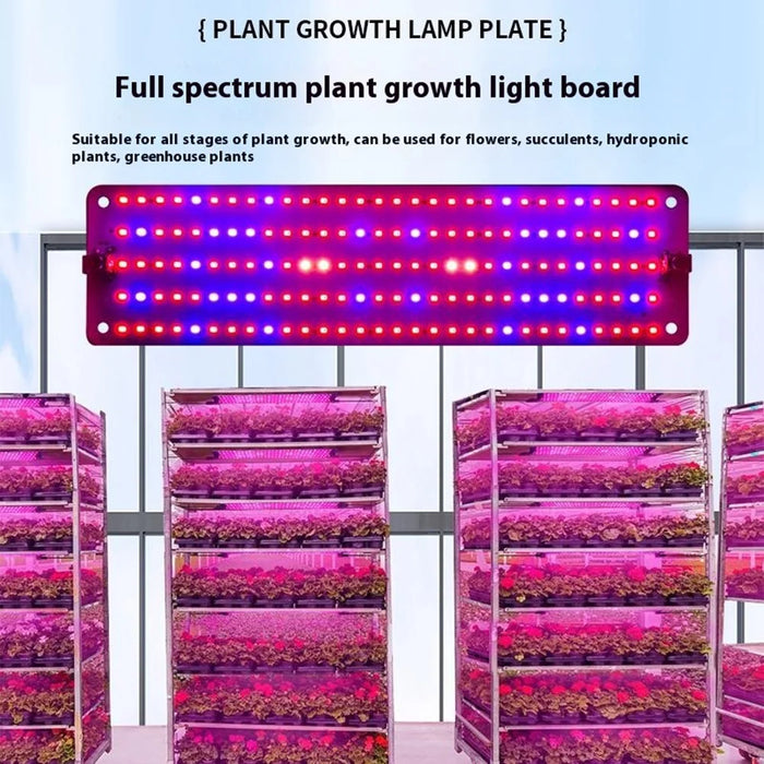 12V 2-Panel Plant Growing Light Potted Plants Shelf Seedling Growth Fill Light, EU Plug - Cold Light - 6