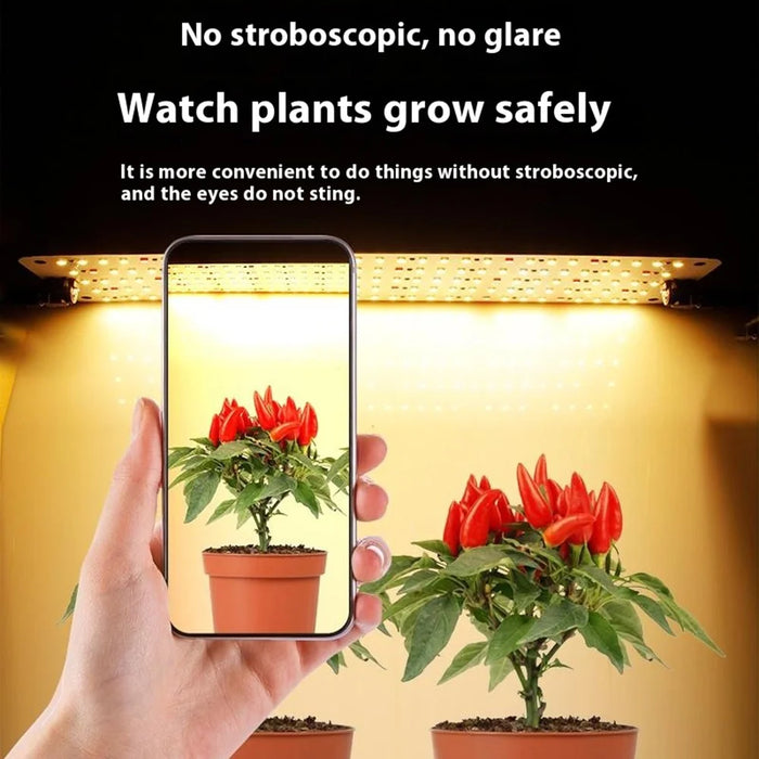 12V 2-Panel Plant Growing Light Potted Plants Shelf Seedling Growth Fill Light, EU Plug - Cold Light - 7