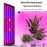 12V Plant Growing Lamp Potted Plants Shelf Light Bonsai Seedling Growth Fill Light, EU Plug - Red+Blue Light - 3