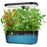 6-Hole Smart Hydroponic Planter Indoor Herb Vegetable Fruit Flower Pot with LED Grow Light - Black / EU Plug - 1