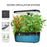 6-Hole Smart Hydroponic Planter Indoor Herb Vegetable Fruit Flower Pot with LED Grow Light - Black / EU Plug - 2