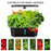 6-Hole Smart Hydroponic Planter Indoor Herb Vegetable Fruit Flower Pot with LED Grow Light - Black / EU Plug - 3