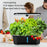 6-Hole Smart Hydroponic Planter Indoor Herb Vegetable Fruit Flower Pot with LED Grow Light - Black / EU Plug - 4