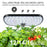6-Hole Smart Hydroponic Planter Indoor Herb Vegetable Fruit Flower Pot with LED Grow Light - Black / EU Plug - 5