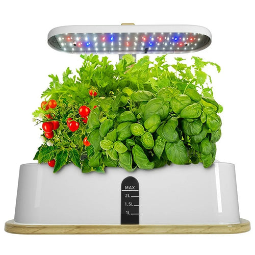 Halo-01 Bamboo + ABS 10 Holes Smart Hydroponic Indoor Plant Vegetables Growing Light Planter - EU Plug - 1