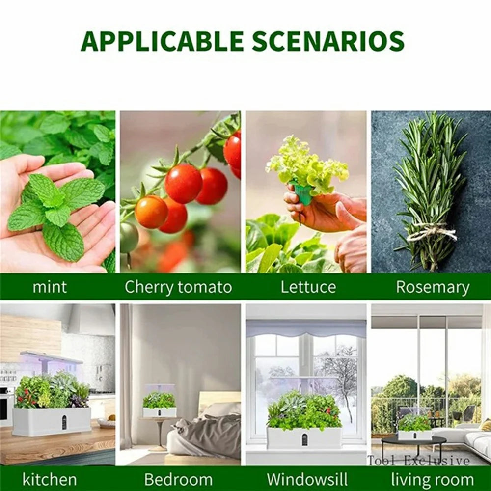 Halo-01 Bamboo + ABS 10 Holes Smart Hydroponic Indoor Plant Vegetables Growing Light Planter - EU Plug - 6