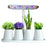 Halo-01 Aluminum Alloy ABS Desktop Plant Light Succulents Timing Full Spectrum Grow Lamp - EU Plug - 1