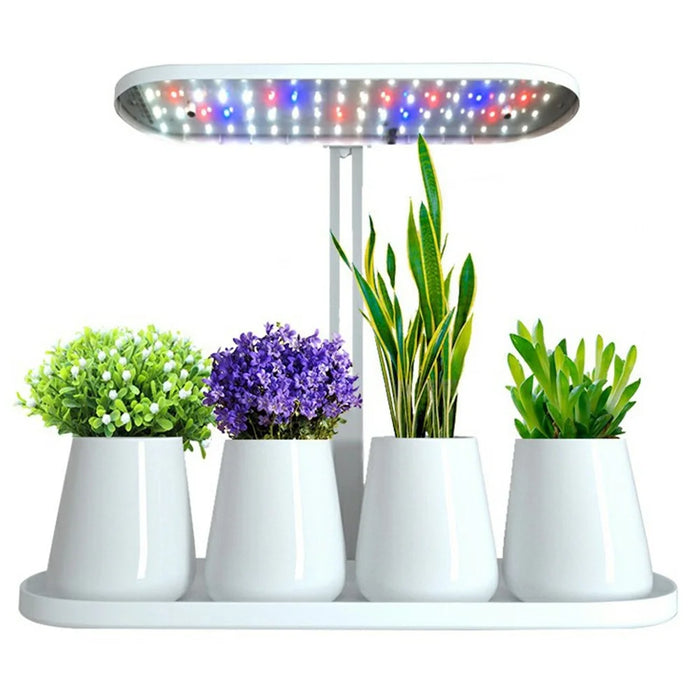 Halo-01 Aluminum Alloy ABS Desktop Plant Light Succulents Timing Full Spectrum Grow Lamp - EU Plug - 1