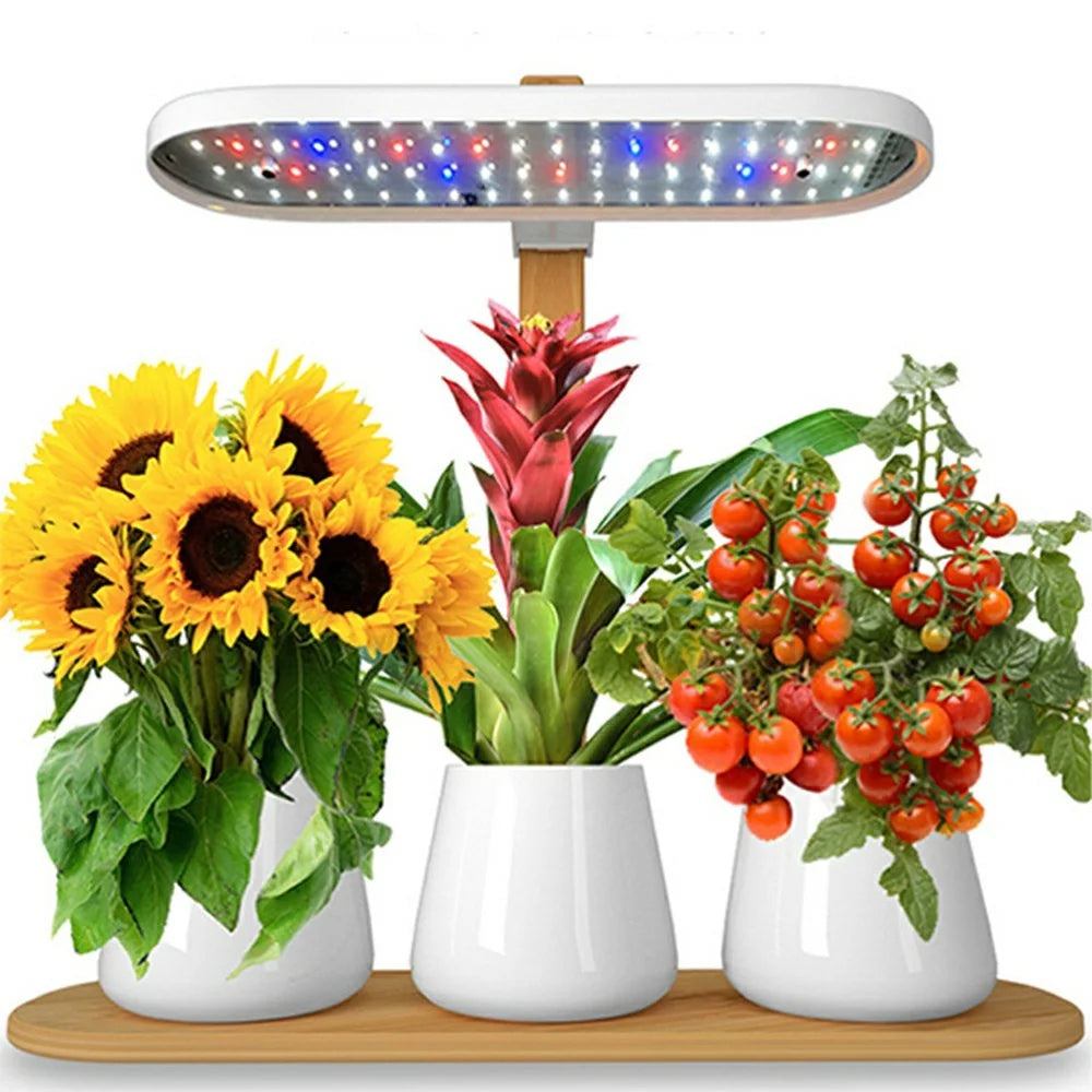 Halo-01 Bamboo ABS Desktop Plant Light Succulents Timing Full Spectrum Grow Lamp - EU Plug - 1