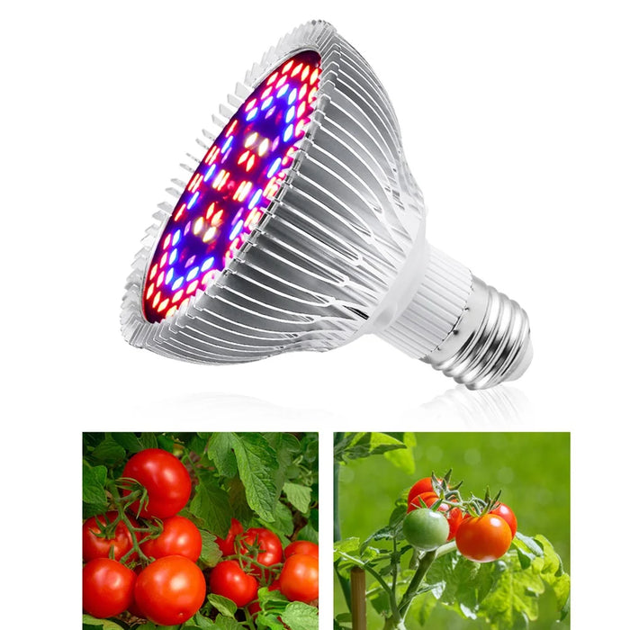 40 LEDs E27 Phytolamp with 5730 LED Chips Full Spectrum Indoor Plant Grow Bulb - 4