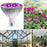 40 LEDs E27 Phytolamp with 5730 LED Chips Full Spectrum Indoor Plant Grow Bulb - 5