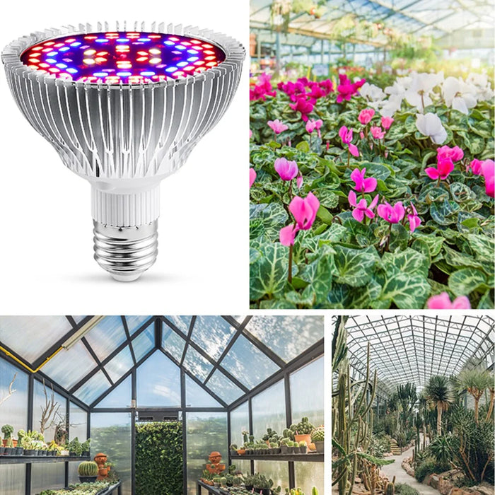 40 LEDs E27 Phytolamp with 5730 LED Chips Full Spectrum Indoor Plant Grow Bulb - 5