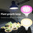 12-LED 11W High Efficiency E27 Base PAR LED Grow Light for Plants Indoor Growth Lamp - Warm Light - 5