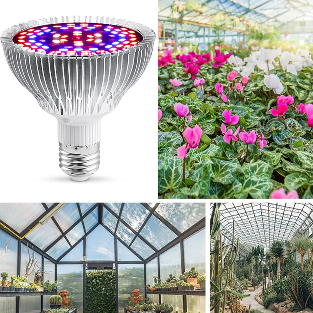 78 LEDs E27 Phytolamp Indoor Plant LED Grow Light with 5730 LED Chips Full Spectrum Grow Bulb - 5