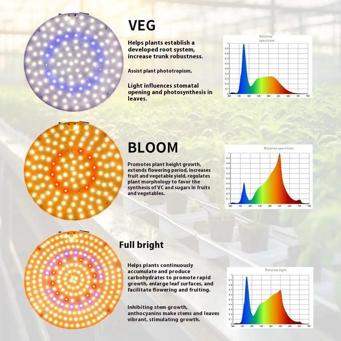 Style G Round Shape Sunlight Simulation Plant Grow Light VEG and BLOOM Segmented Desktop LED Growing Lamp, EU Plug - 4