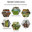Style G Round Shape Sunlight Simulation Plant Grow Light VEG and BLOOM Segmented Desktop LED Growing Lamp, EU Plug - 7